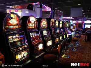 79w - Cassino Oficial Bet